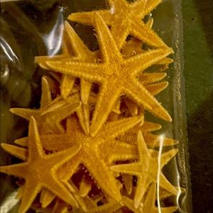 🌹Miniature starfishes can be used for crafts or collection